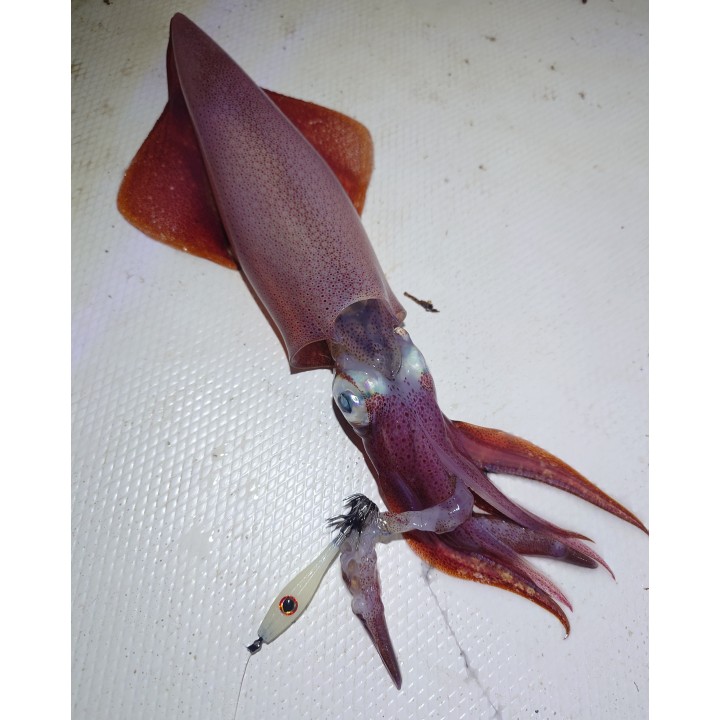 Señuelo Evil Hunter Glow