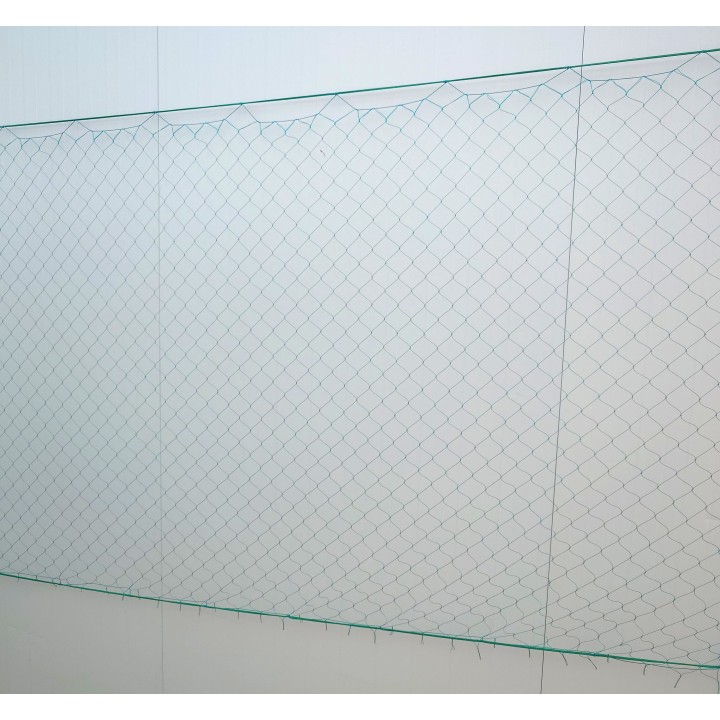 Network of rabbits and hare 70 meters