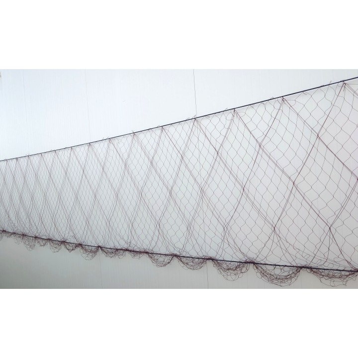 Trasmallo de conejo y liebre 50 metros