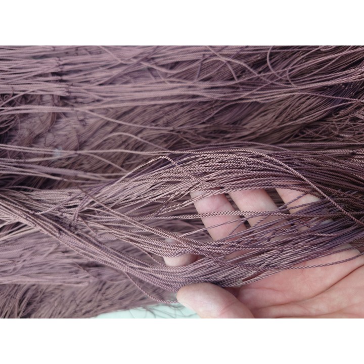 Lapin de lapin et hare 50 mètres