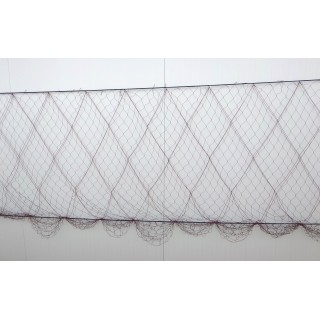 Coniglio di coniglio e Hare 50 metri