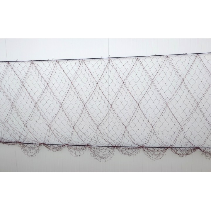 Coelho de coelho e hare 50 metros