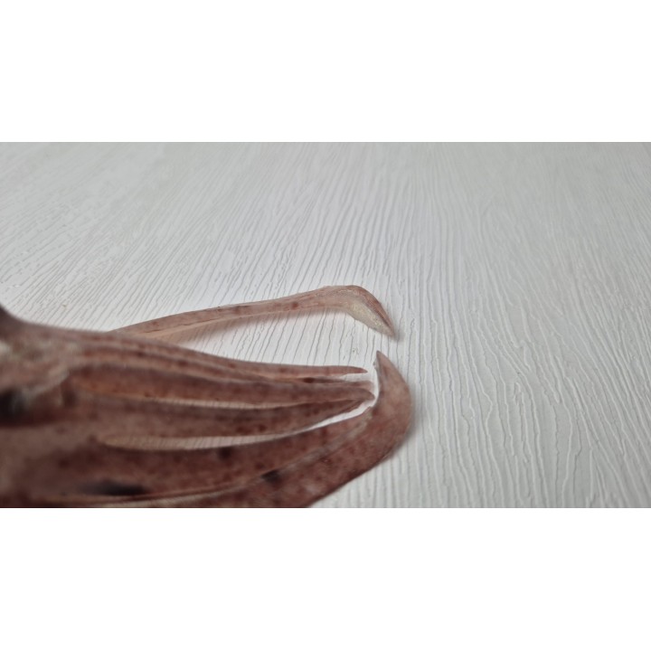 Xibia: le leurre le plus réaliste pour la pêche sportive | Déjà disponible!