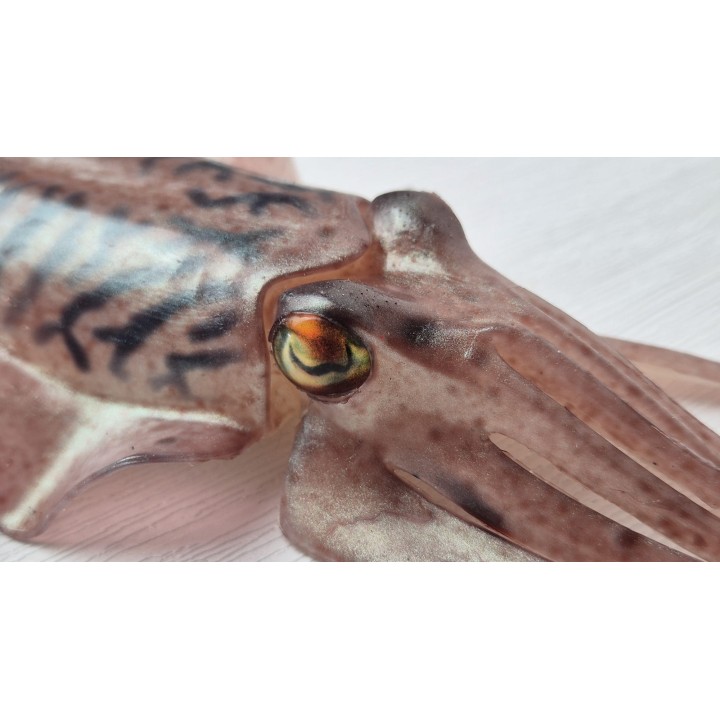 Xibia: le leurre le plus réaliste pour la pêche sportive | Déjà disponible!