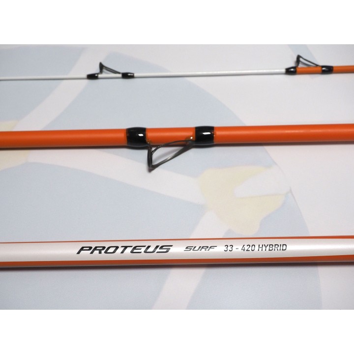 Cane DAIWA Proteus 33 4,20M Hybrid | Qualität und Macht zum besten Preis