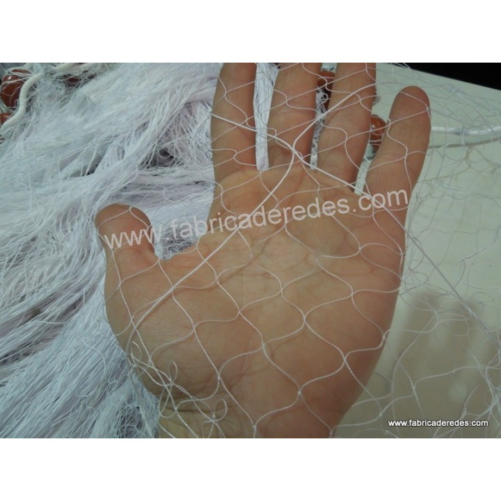 Trammel-Garnelen-Cape-Blei