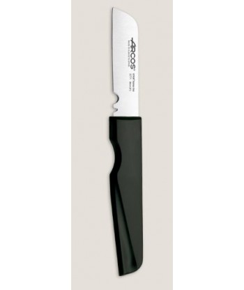 Cuchillo Arcos 10 Ref. 287300 260MM (Filetero) - A Poutada