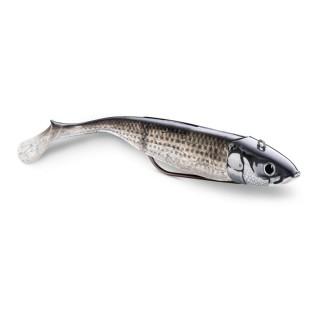 Biscay shad 360gt coastal Vinil