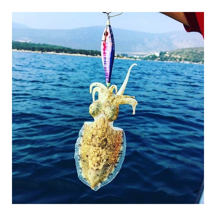 DTD BLOODY FISH red glow pêche au calmar