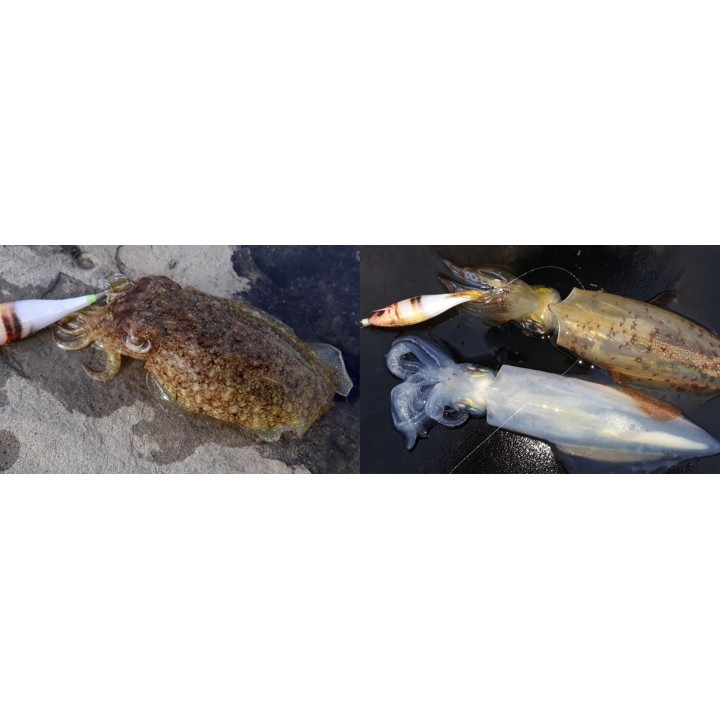 WEAK FISH BUKVA faible et naturel