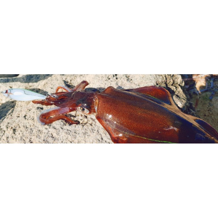 DTD BALLISTIC long casting 90MM (14,60 GRAMOS)