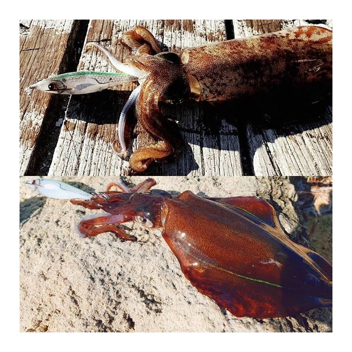 DTD BALLISTIC long casting 90MM (14,60 GRAMOS)