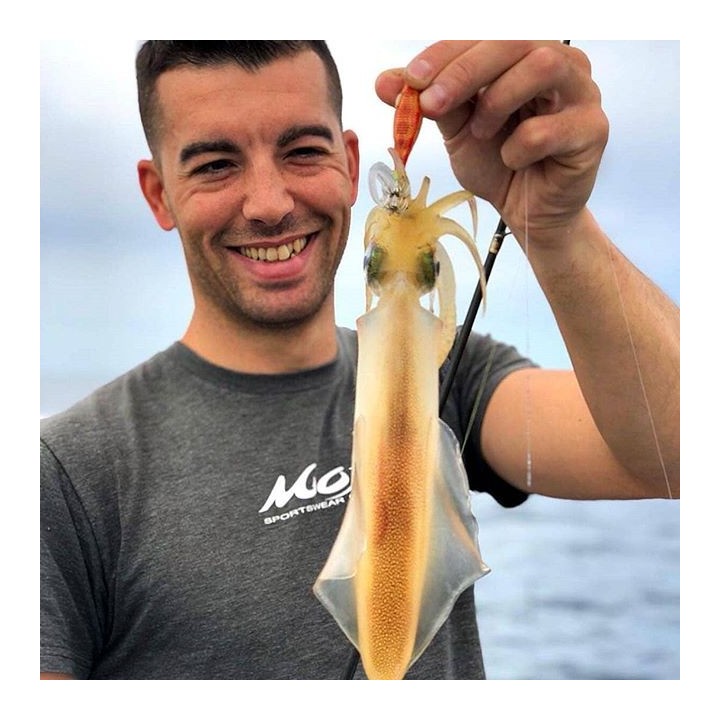 DTD REAL FISH 3.0 inspirado en la naturaleza