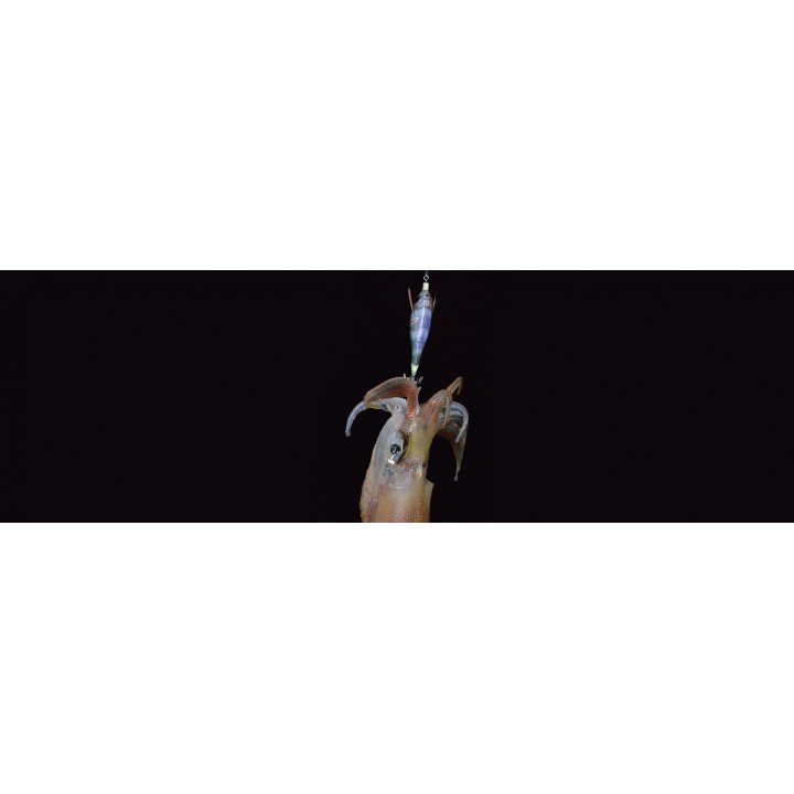 Dtd WOUNDED FISH 2.5 wounded & realistic