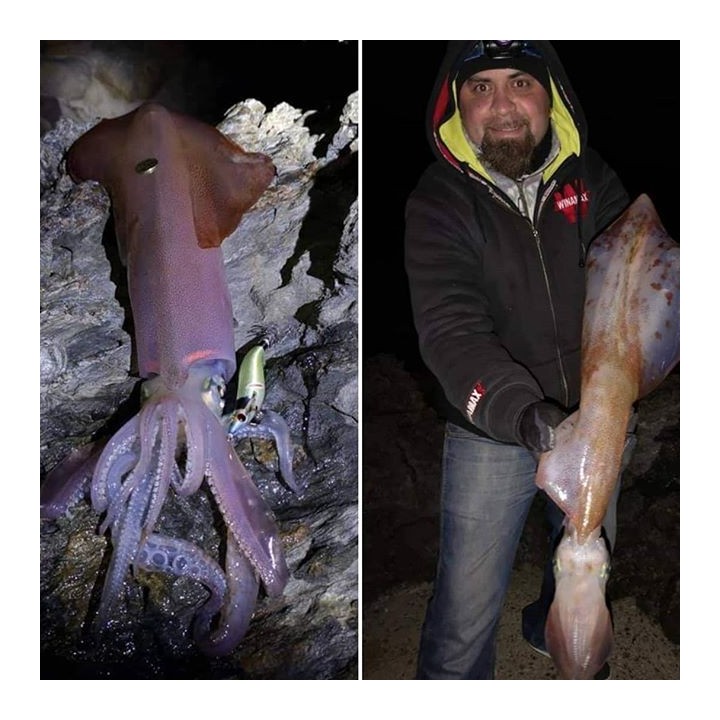 Dtd WOUNDED FISH 2.5 herido y realista