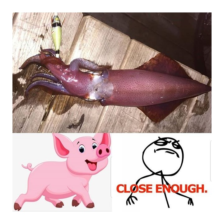 Dtd WOUNDED FISH 2.5 herido y realista