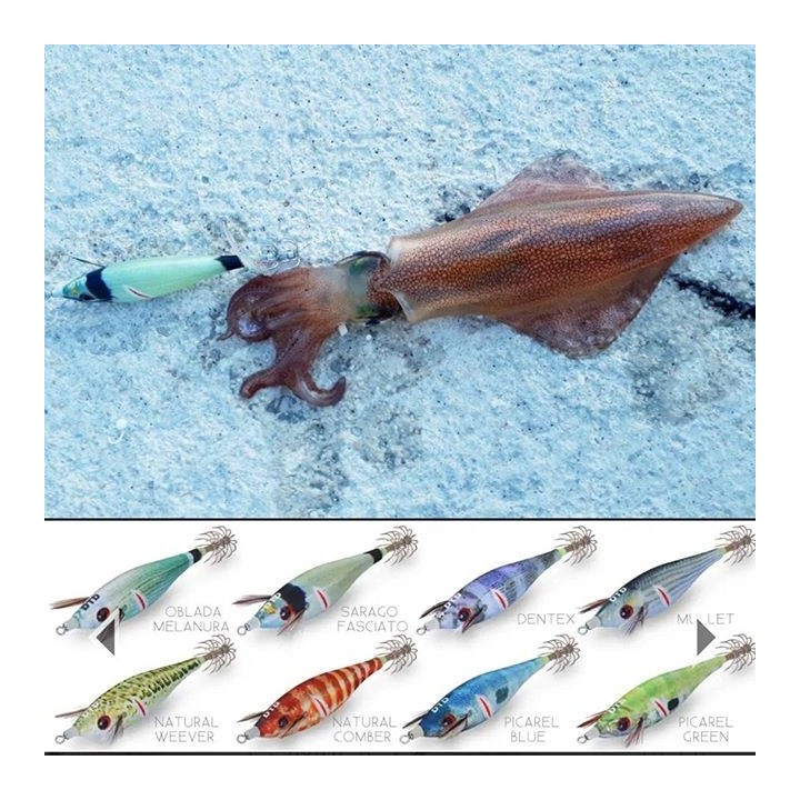 Dtd WOUNDED FISH 2.5 ferito e realistico