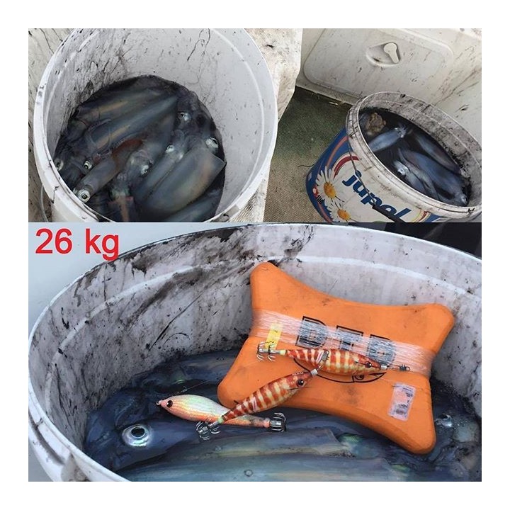 Dtd WOUNDED FISH 2.5 verwundet & realistisch