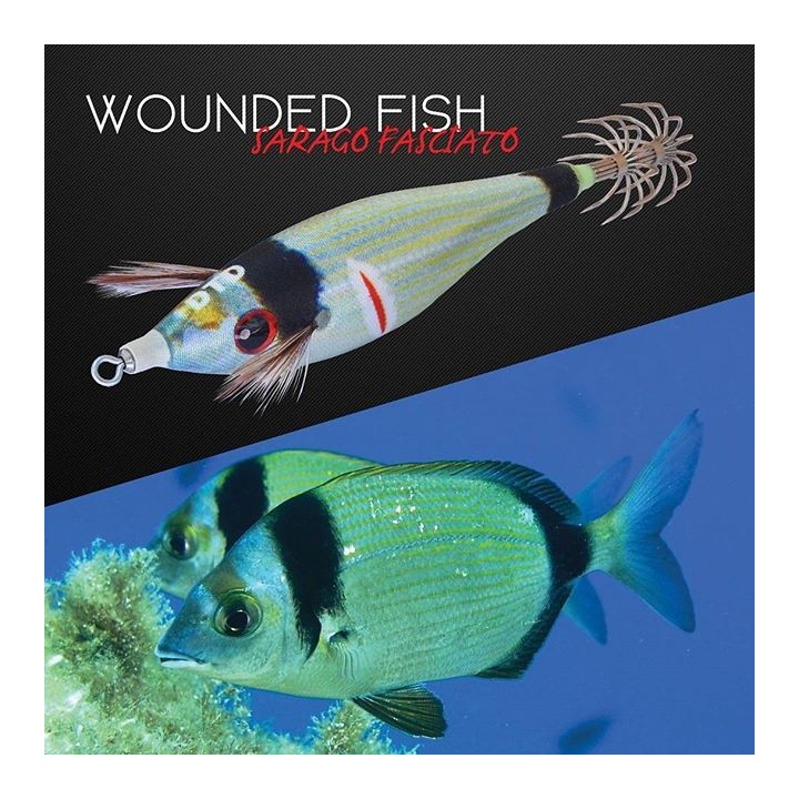 Dtd WOUNDED FISH 2.5 ferito e realistico