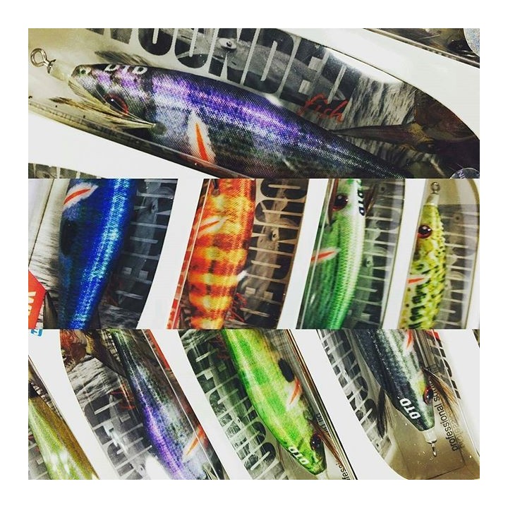 Dtd WOUNDED FISH 2.5 ferido e realista