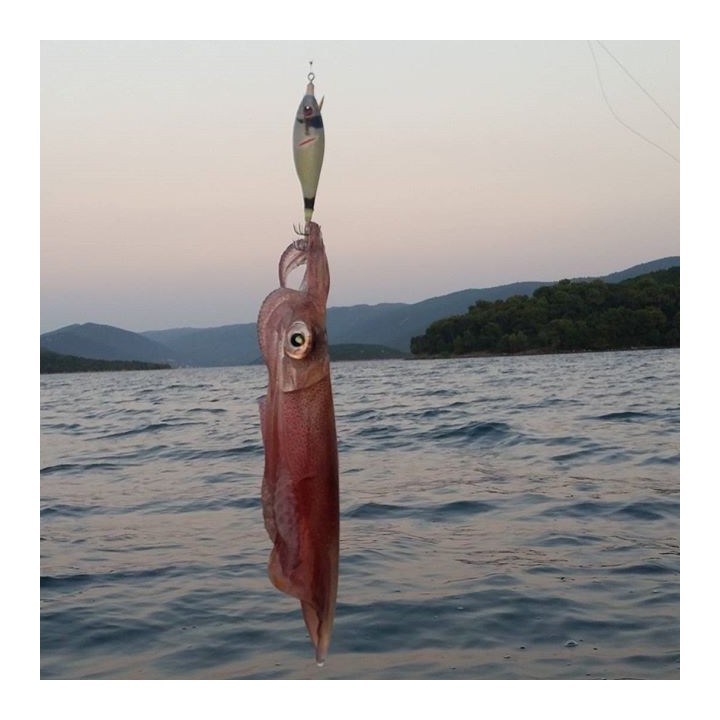 Dtd WOUNDED FISH 2.5 ferido e realista