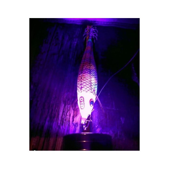 Dtd ARBUN 2.5  pargo