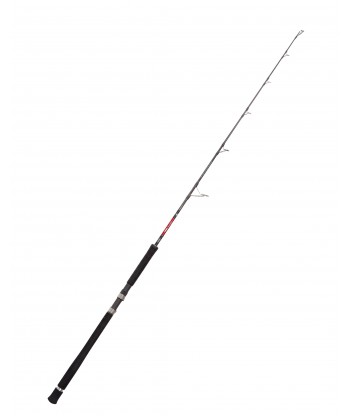 Jigging rods: the best for fishing lovers