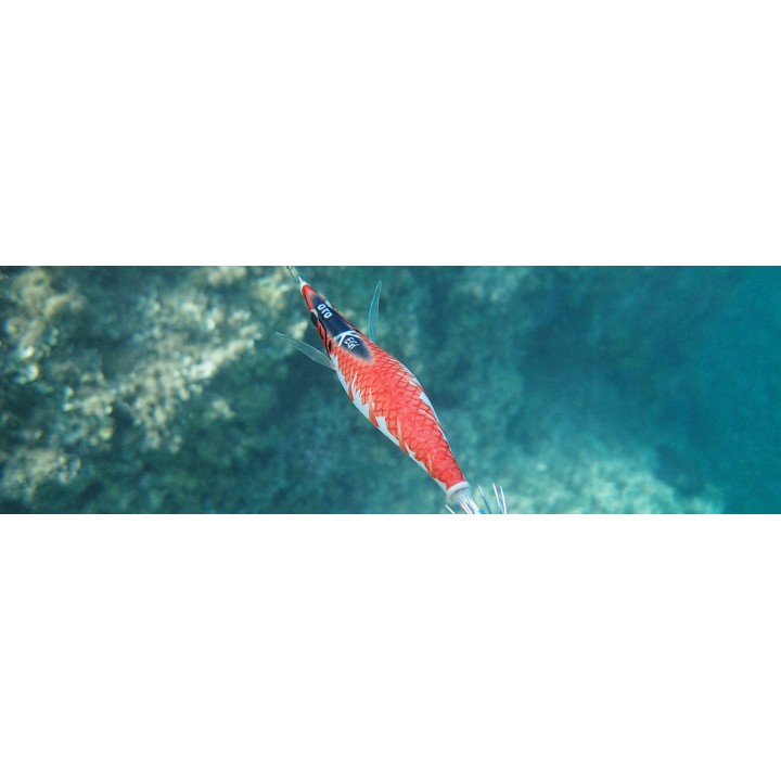 X EGI DTD 3.0 (16.20 gramos)  llamativo patrón lateral