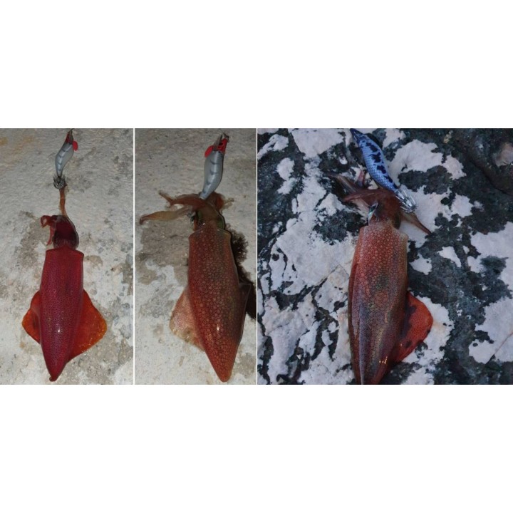 X EGI DTD 3.0 (16.20 gramos)  llamativo patrón lateral