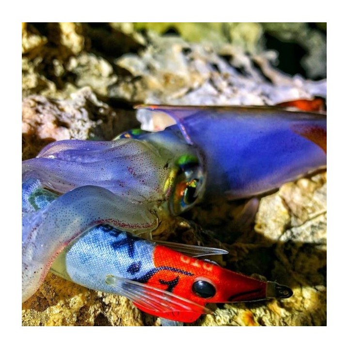 X EGI DTD 3.0 (16.20 gramos)  llamativo patrón lateral