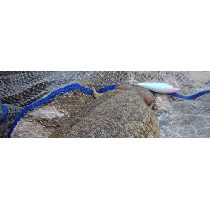 FLASH COLOR GLAVOC DTD flash y duradero