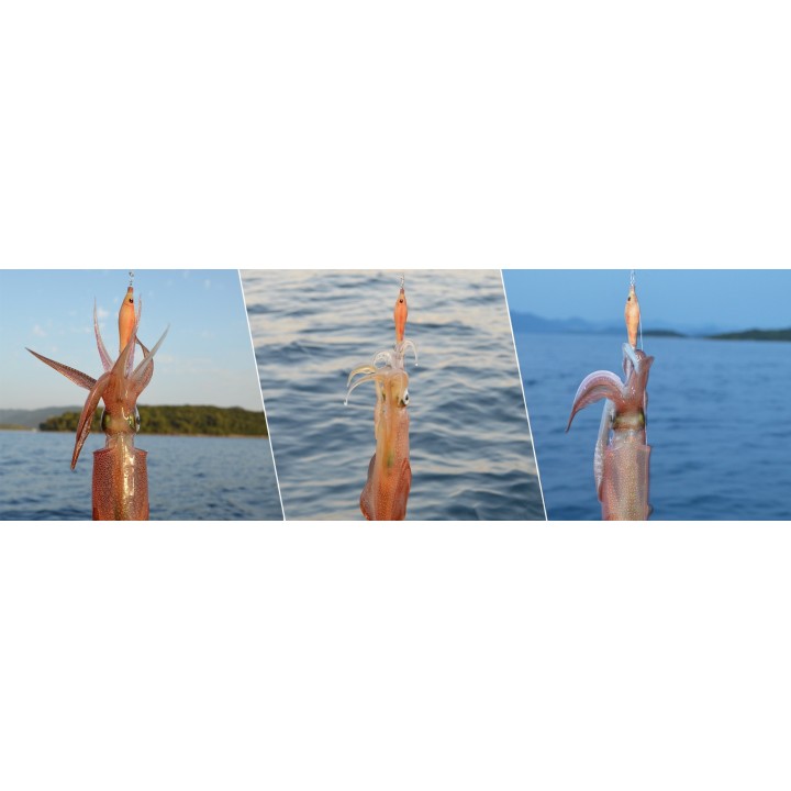 Soft real fish Dtd inspirado pela natureza