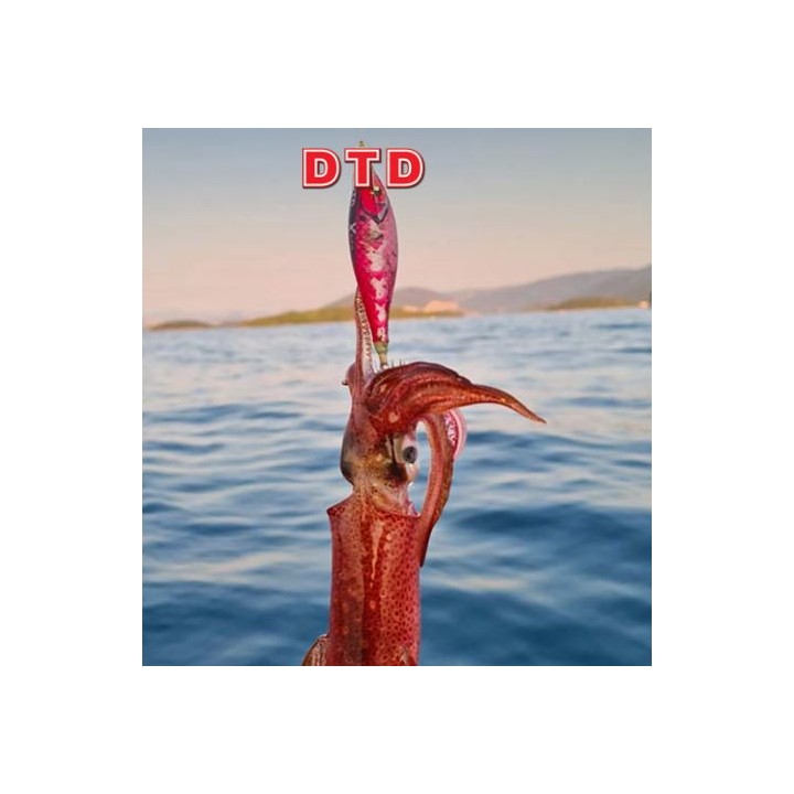 X FISH DTD padrão lateral atraente com aletas de silicone