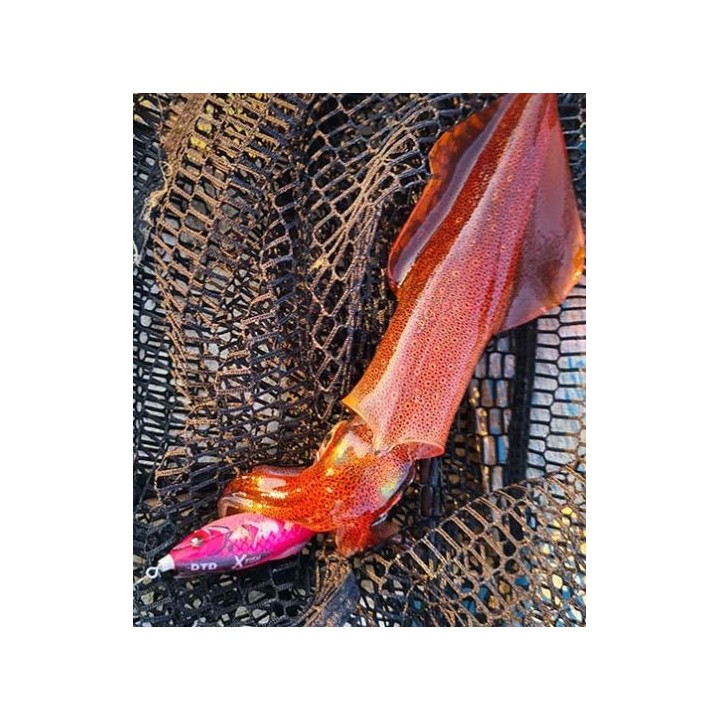 X FISH DTD motif latéral accrocheur avec ailettes en silicone