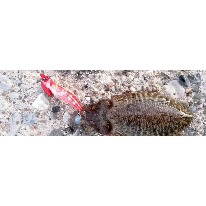 REAL FISH egi TIP RUN de Dtd 30 gramas