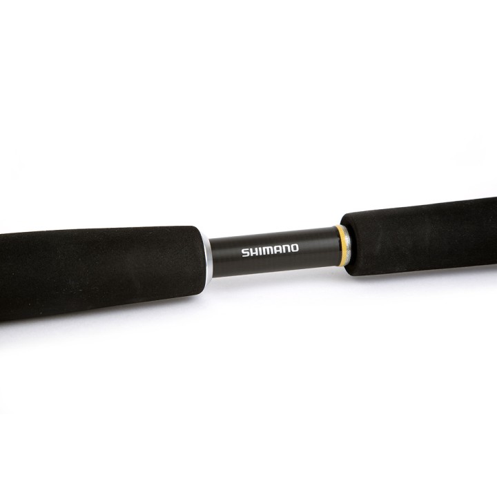 Beastmaster Pilk 2,15 m 40-95 gramas 2 unidades