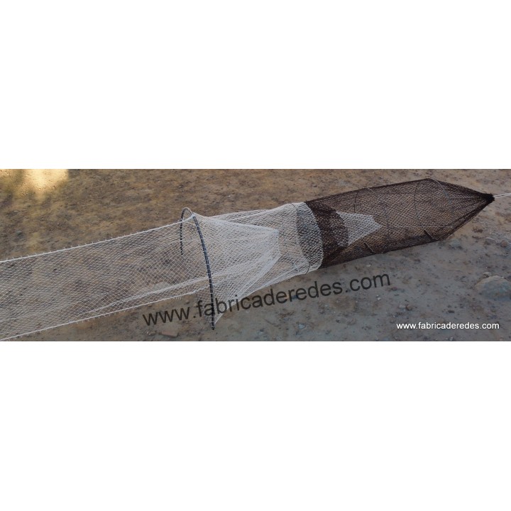 Nasa cangrejera con pared