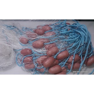 Trasmallo Langostino