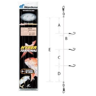 EX700 - Under Hyper Terminal line