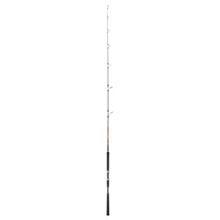 Canna HART TORO TUNUS 8 ́-2.44m/1+1sec