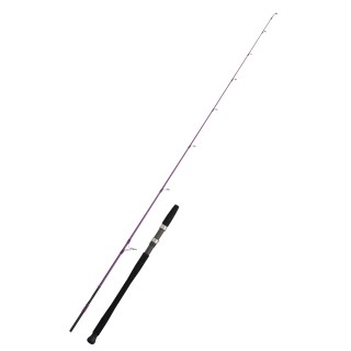 CINNETIC EXPLORER VIOLA Inshore UL Jigging 8431