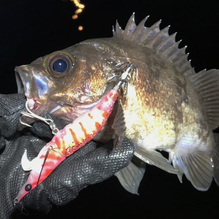 Little Jack Onliest Kopffüßer und Fische