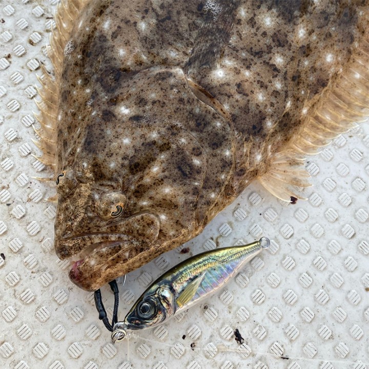 Little Jack Metal Adict 100g, 125g y 150g