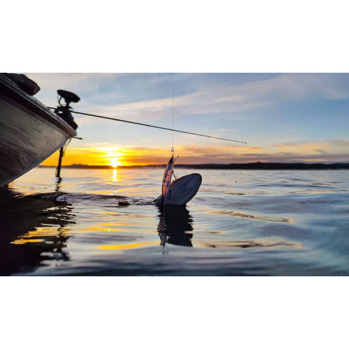 Bantam World Minnow Flash Boost 115mm 17 grammi