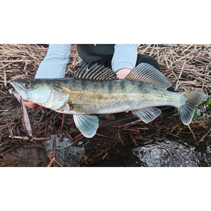 Shimano Bantam World Minnow Flash Boost 115mm 17 gramos