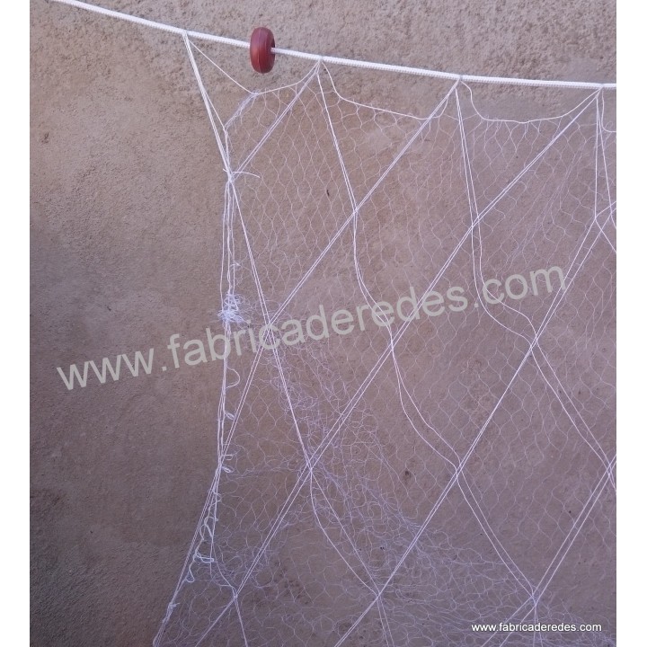 Tramaglio di gamberi 9,5 uvetta