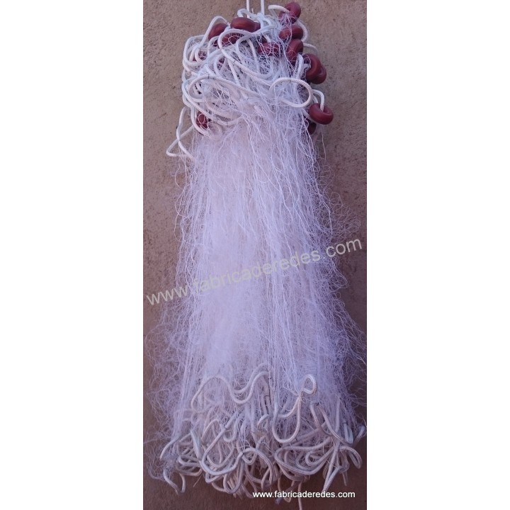 Trasmallo langostino 9,5 pasas