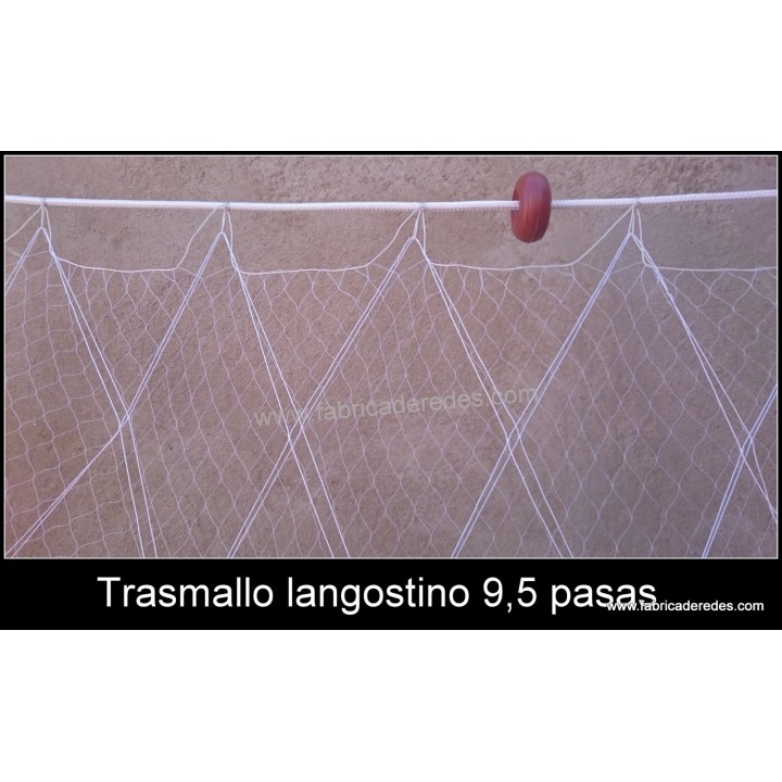 Tramaglio di gamberi 9,5 uvetta