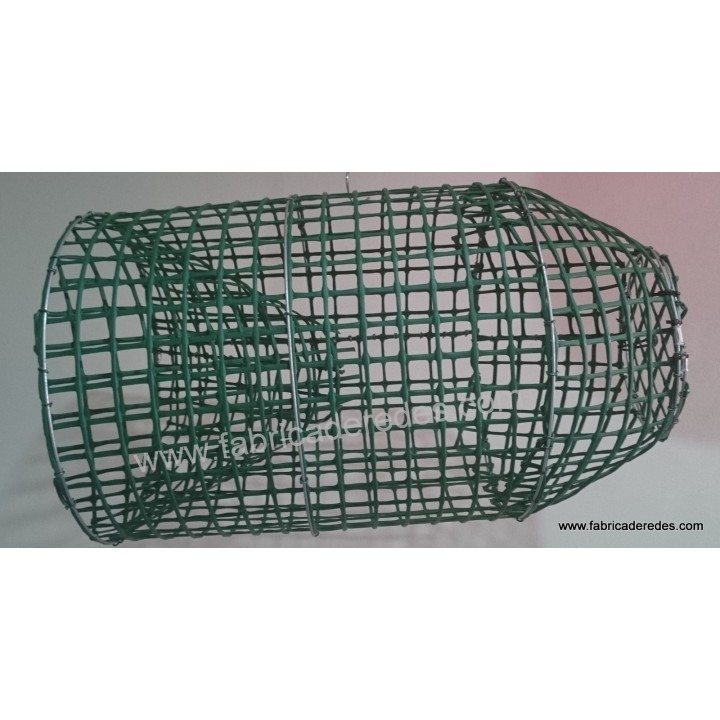 Nasa de pulpo y pescado