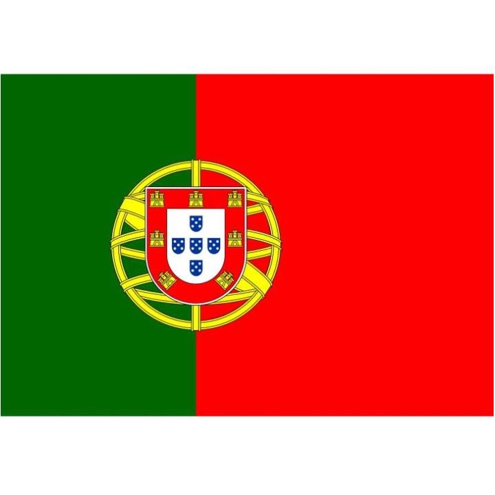 Portugal flag with shield